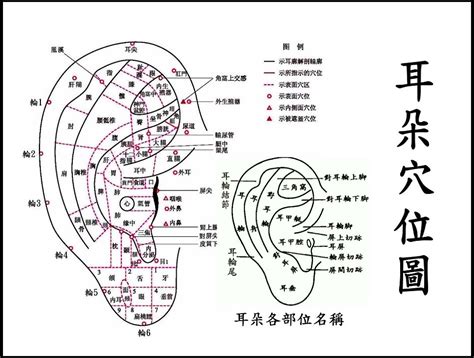 耳洞爛掉|【耳洞爛掉】穿耳洞前必知！不注意小心「耳洞爛光光」！